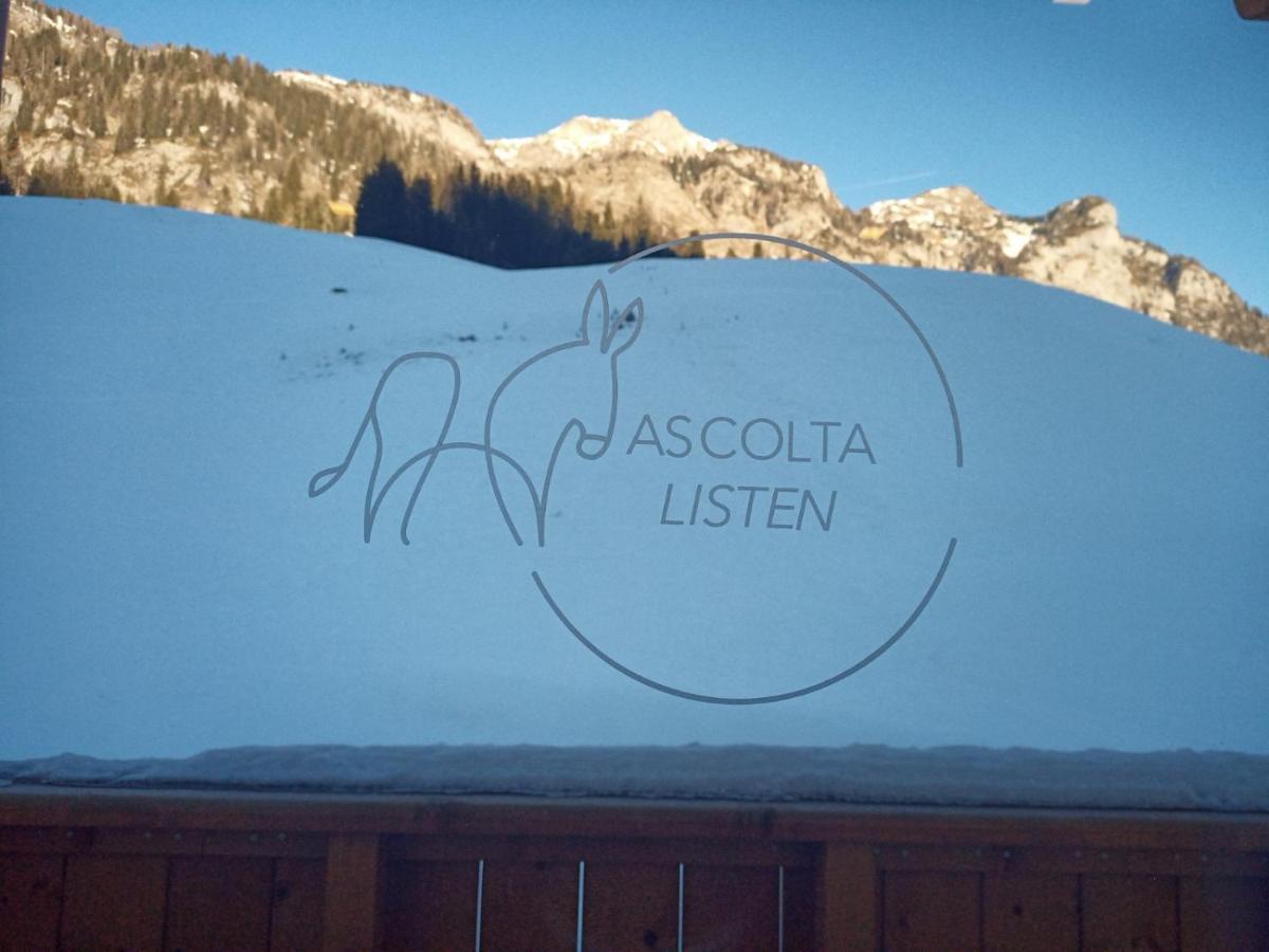 Maison Boutique Fior d'Alpe Sappada Extérieur photo